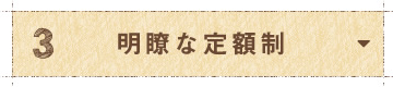 明瞭な定額制