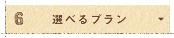 選べるプラン